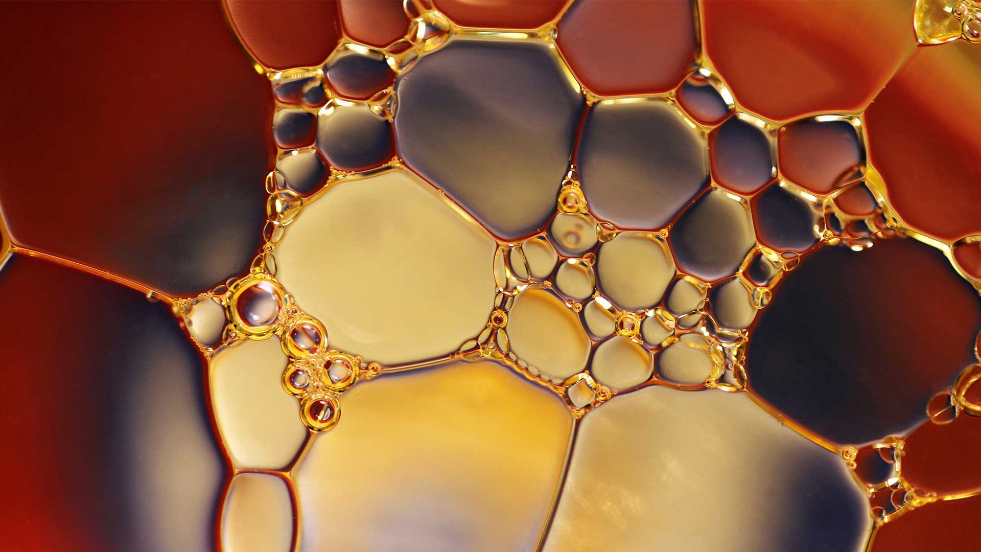 careflex-chemie-portal-schnittstelle-sap-1920x1080