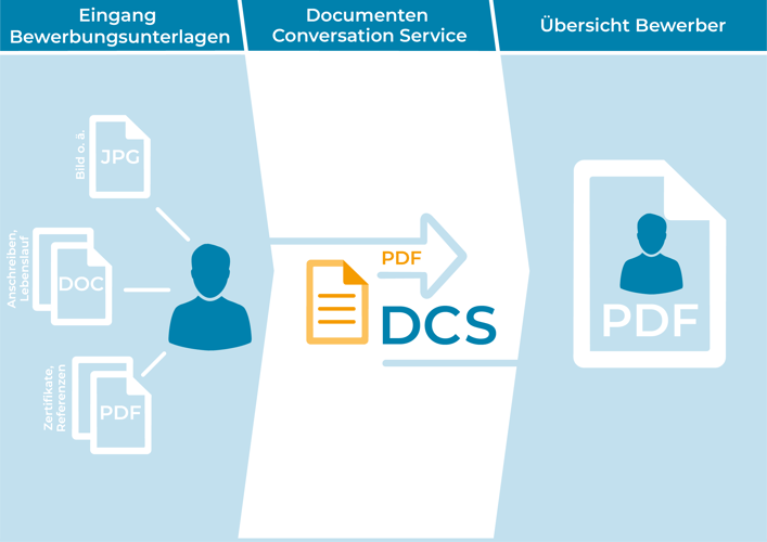 250522 Prozessdarstellung DCS_umfangreich-prozessdarstellung-dcs Kopie
